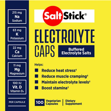 Cargar imagen en el visor de la galería, Salt Stick 100 unid (pastillas de sal)